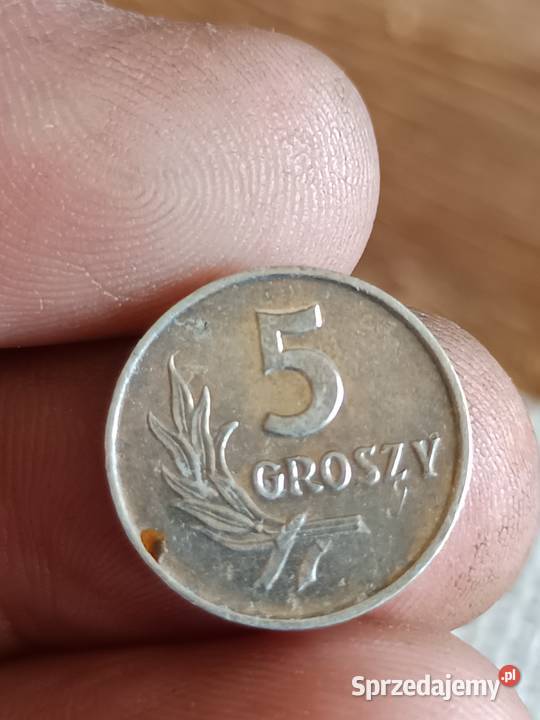 Sprzedam 5 groszy 1963 bbb Chełm sprzedam