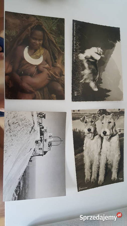 Stare pocztówki polskie i zagraniczne mazowieckie Warszawa