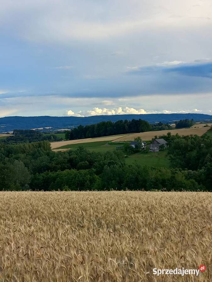 Działka budowlana Brzeziny podkarpackie Sprzedaż Bielsko-Biała sprzedam
