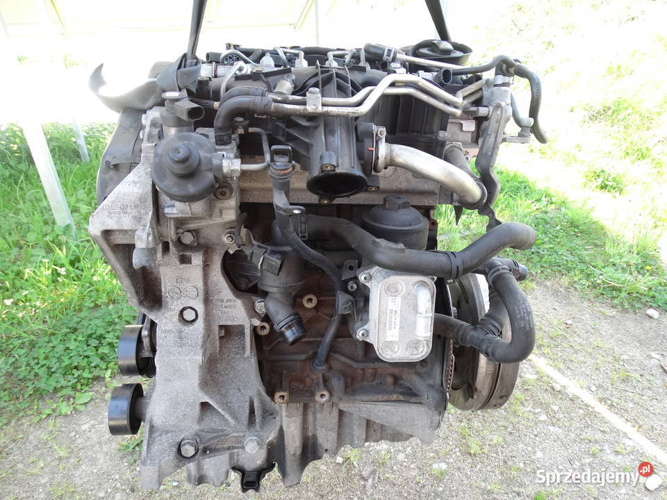 AUDI A4 B8 A5 LIFT A6 C7 Q5 SILNIK 20 TDI CGLC Łosieniec