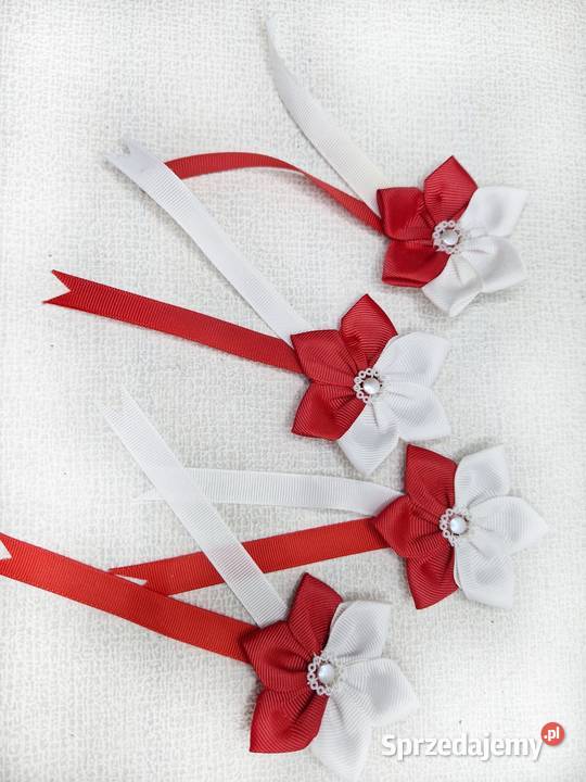 Kotyliony dzień niepodległości akademia szkolna Boreczek