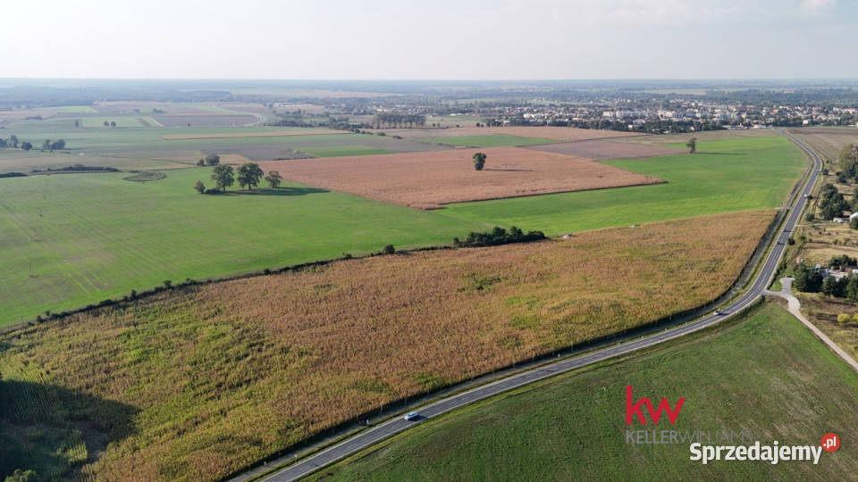 Do sprzedaży działka Kapalica 2447m2 Pobiedziska