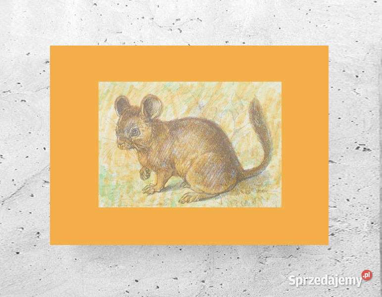 zoo obrazek A4 zwierzęta obrazek 21x30 zoo warmińsko-mazurskie Olsztyn