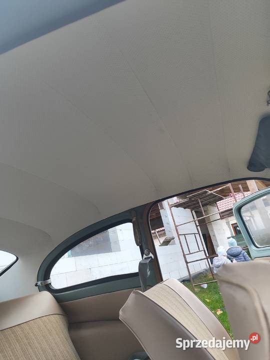 Volvo pv 544 B18 Wołów