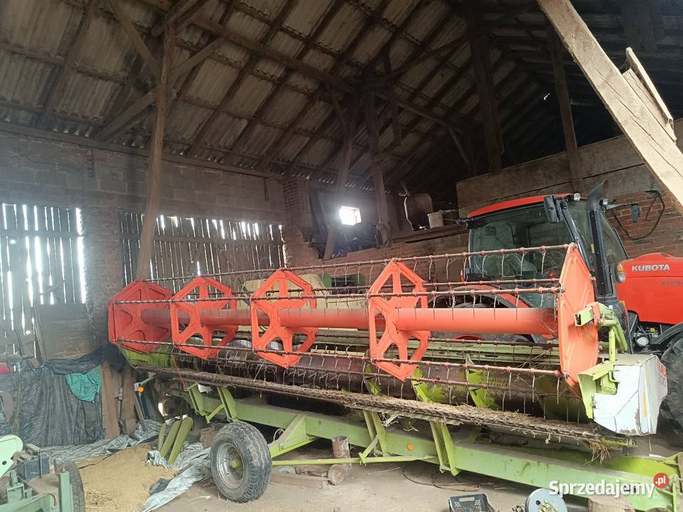 Sprzedam Jastrzębniki