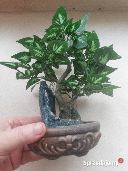 Drzewko sztuczne dekoracyjne mazowieckie