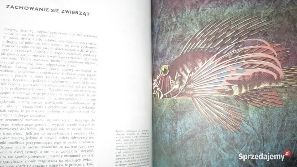 ZIEMIA ROŚLINY ZWIERZĘTA LAROUSSE encyklopedia Łódź