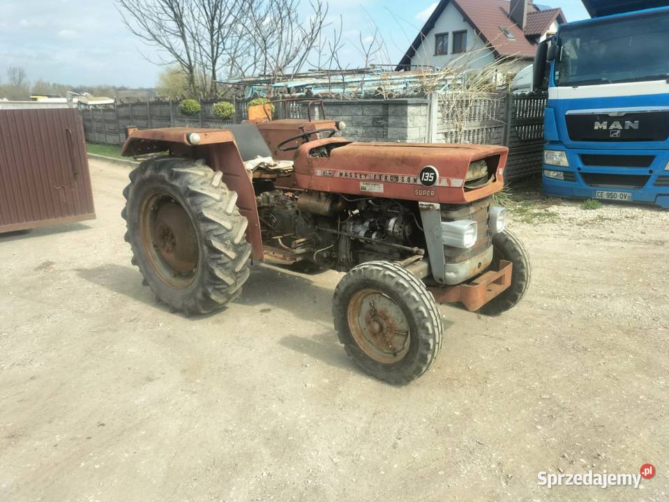 Massey Ferguson MF 135 Busko-Zdrój