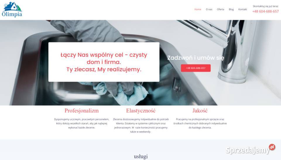 Strony www grafika copywriting pozycjonowanie Roczyny informatyka