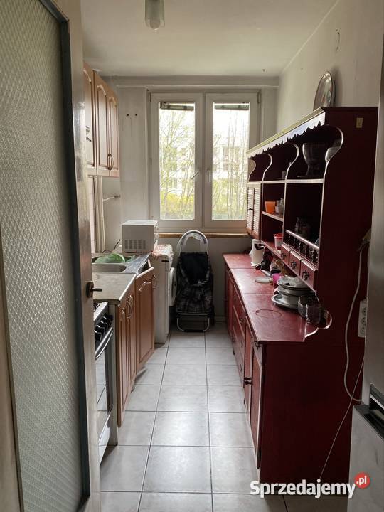 Z widną kuchnią cichymi windami i zielonym