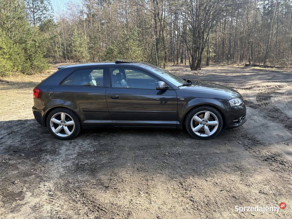 Audi A3 sline 8p 20tdi CR 170 DSG stronic 2009 Jelcz-Laskowice sprzedam