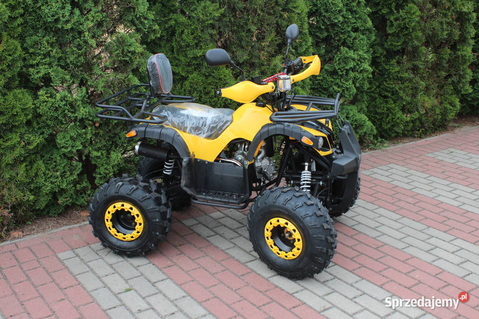 Quad HAMMER 125 cc półautomat 31 kierunkowskazy quad - ATV Goleniów