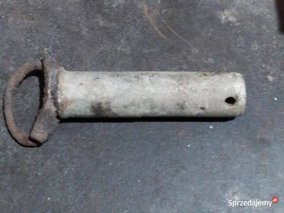 SWORZEŃ BOLEC pomorskie Pszczółki sprzedam