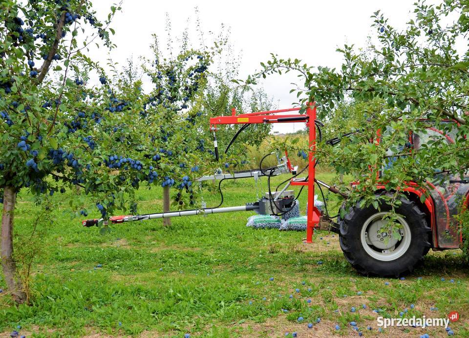 Otrząsarka Do Wiśni śliwek Otrząsarka Do Owoców Pestka Skierniewice