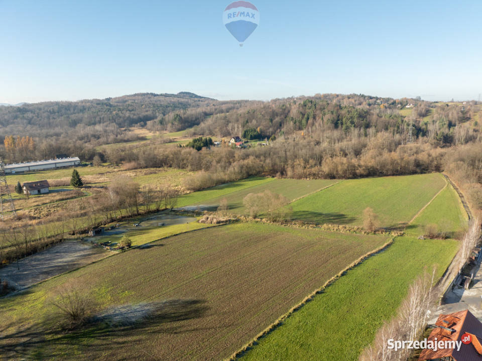 Grunt inwestycyjny Zysk przekształceniu 1 mln Krzywaczka