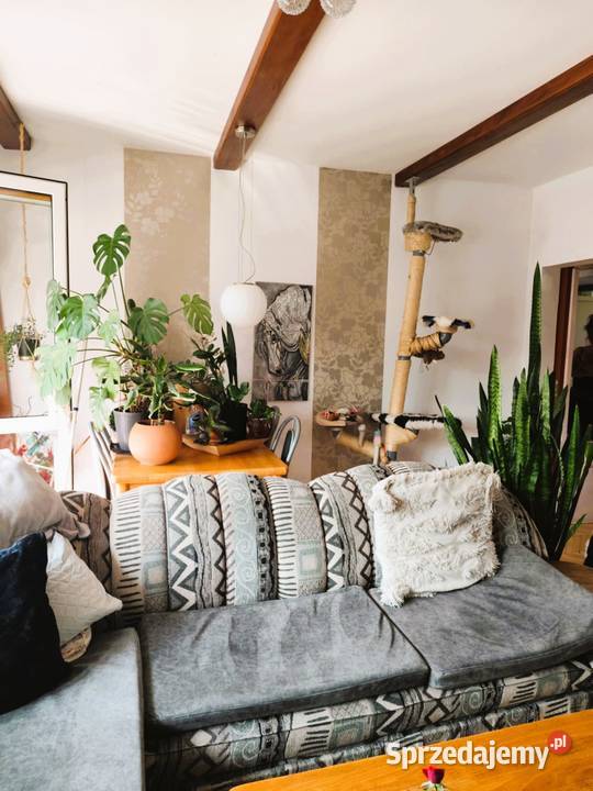 Mieszkanie Krosno 60m2 Sprzedaż podkarpackie sprzedam