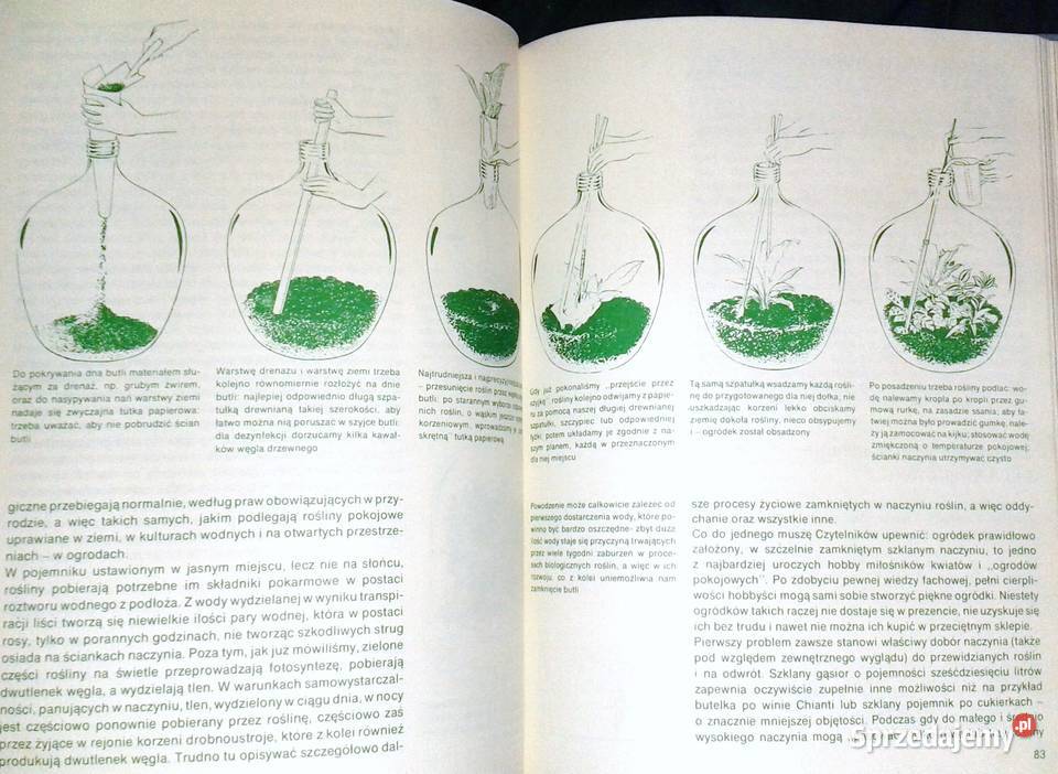 Mieszkamy wśród kwiatów Margot Schubert Rob Książki i Podręczniki lubelskie Chełm