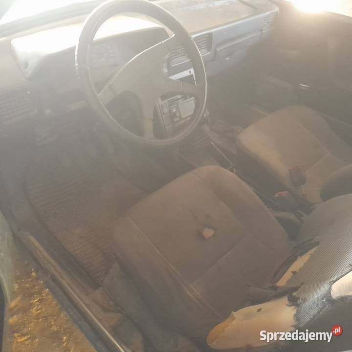 Polonez Truck 19 Diesel Polonez Frampol