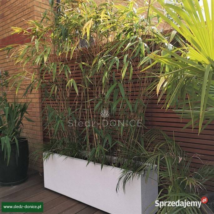 Donice ogrodowe Łódź