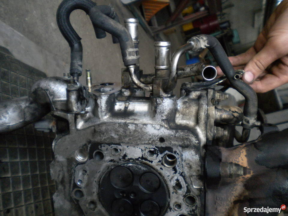 GŁOWICA TOYOTA AVENSIS D4D 02 116 20d podlaskie Białystok