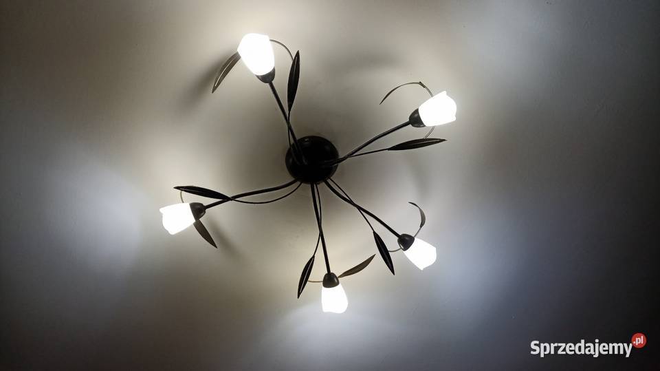 Lampa wisząca sufitowa żyrandol kujawsko-pomorskie Tonowo sprzedam