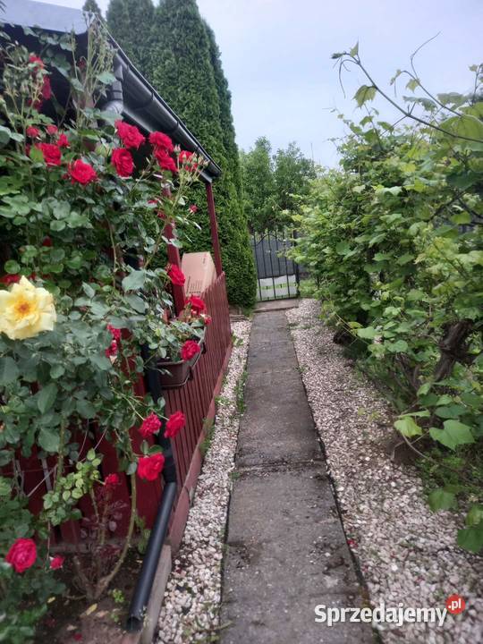 Działka ROD 300 m2 Sprzedaż Ostrowiec Świętokrzyski