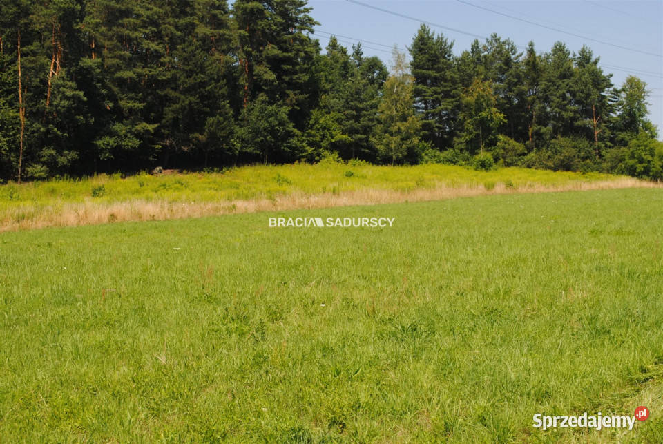 Ziemia Kryspinów 5500m2