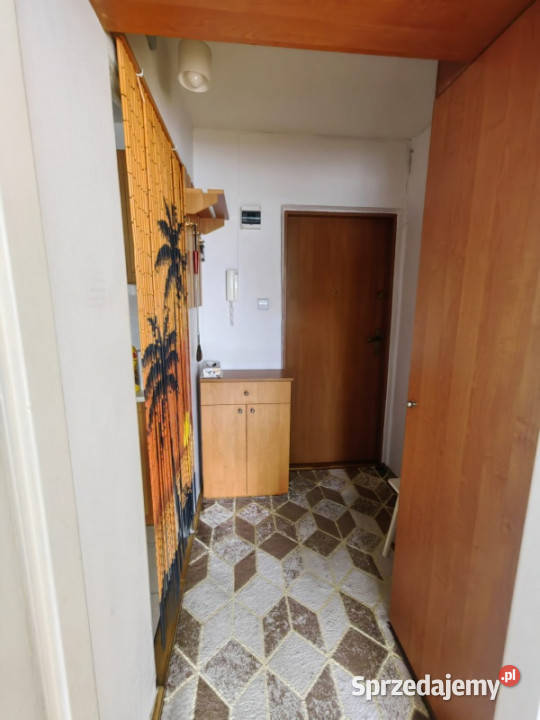 Mieszkanie na Bielanach w Warszawie Liczba pokoi 1