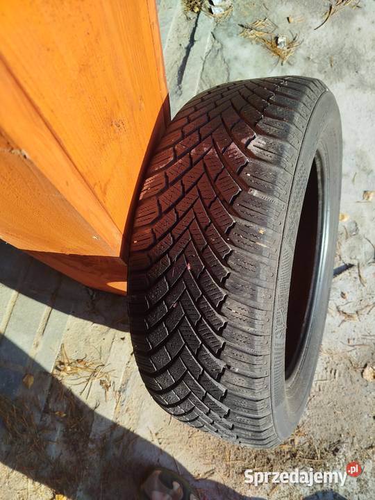 Opony Zimowe 2055516 55 sprzedam
