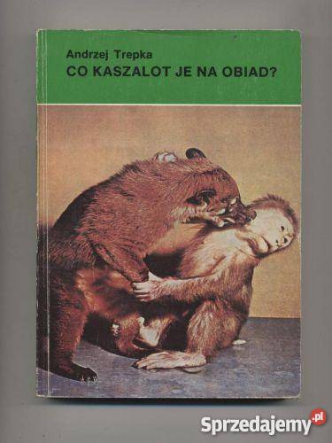 Co kaszalot je na obiad Szczecin