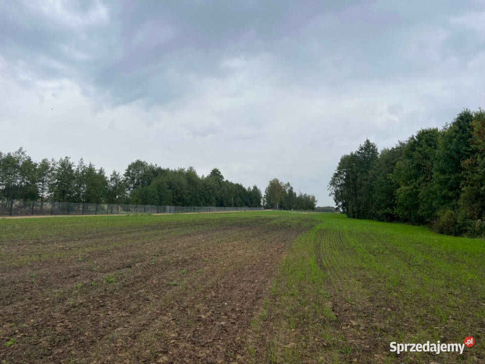 Działka budowlana 1200 m2 zalewem Niewiadoma