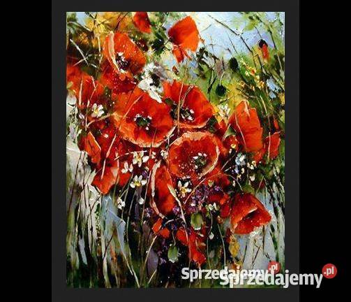 Maki Obraz olejny 50x40 kwiaty Warszawa