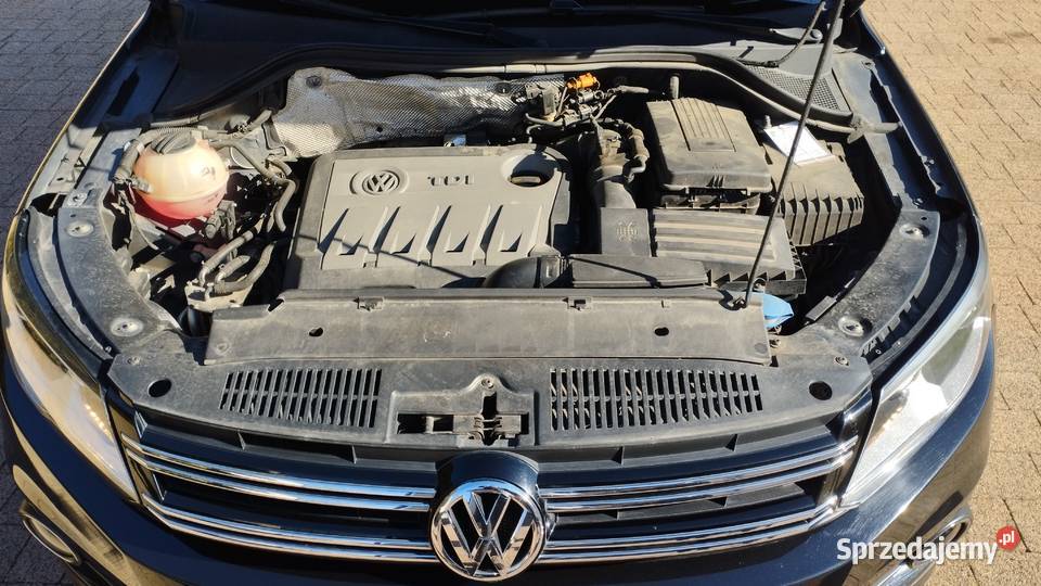 Volkswagen Tiguan 20 TDI NAVI 4x4 Kraszkowice