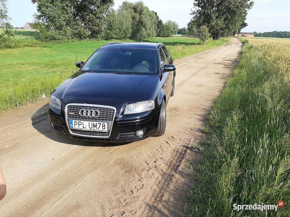 Audi A3 8P Sportback 2007 Silnik 20 TDI wersja sprzedam