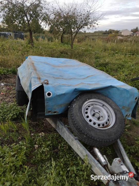 przyczepka niewiadów z hamulcem najazdowym sprzedam