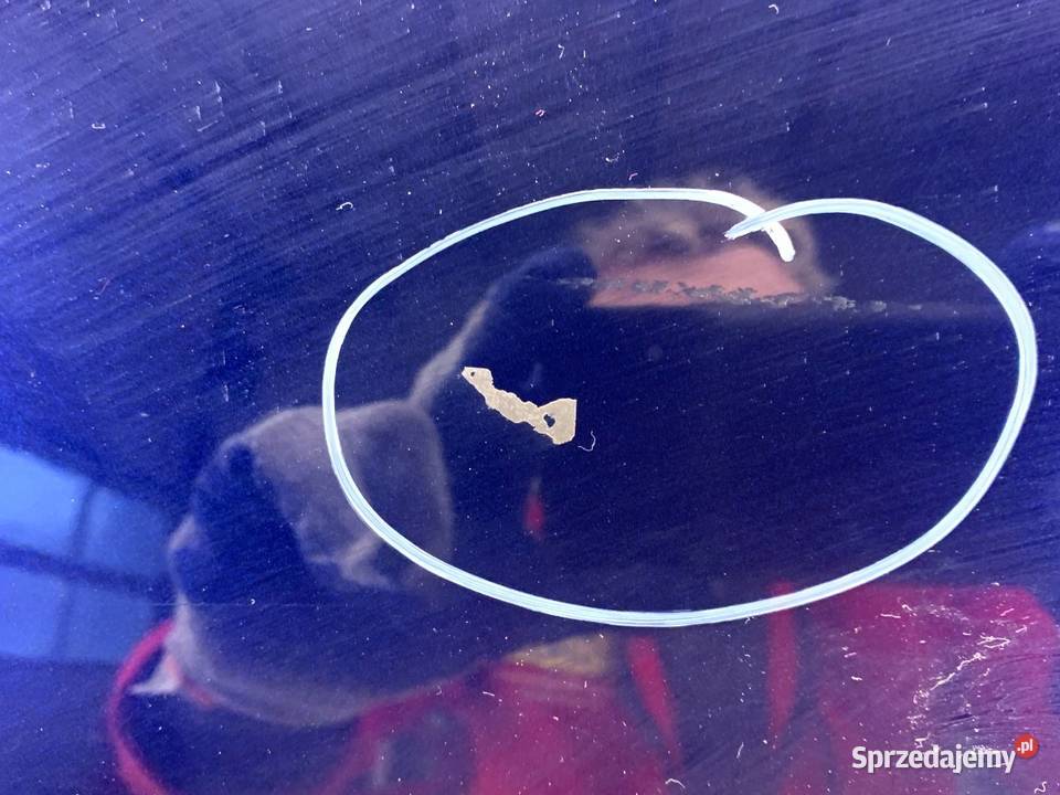 DRZWI LEWY TYŁ AUDI Q3 II SUV Navarra Blue