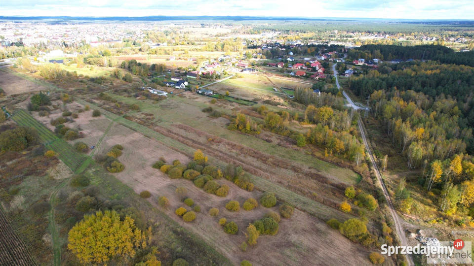 sprzedaży działki 2894 metry Korczów prąd