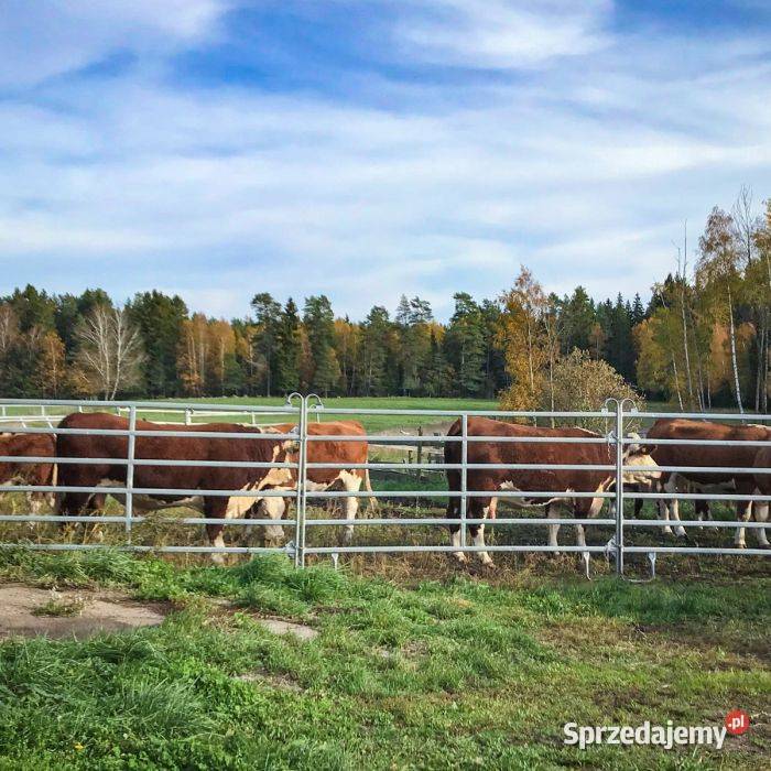 Bramka z podporami łukowymi ogrodzenie zwierząt
