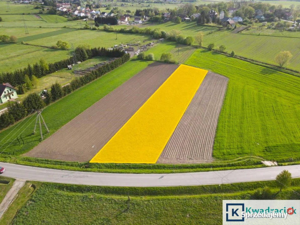 Działka Srogów Górny 2790m2