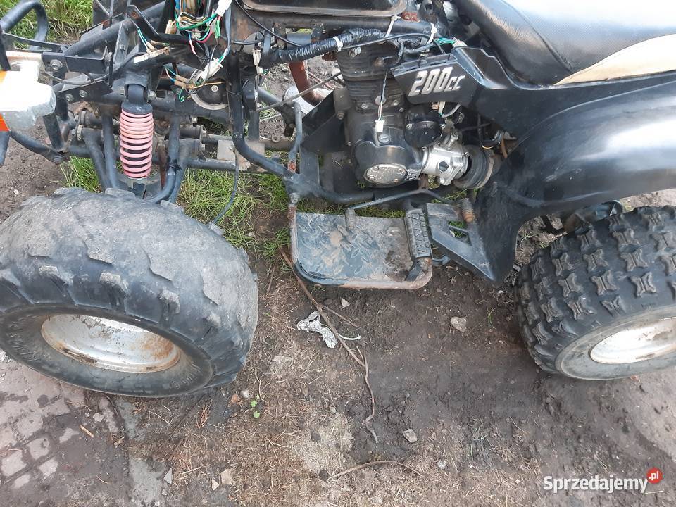 Kingway Alpinus napęd wał kardana 200 CC Sosnowiec