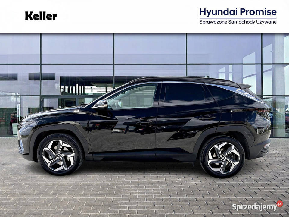 16 HEV 230 Platinum FV23 Dealer Hyundai Keller śląskie Gliwice sprzedam