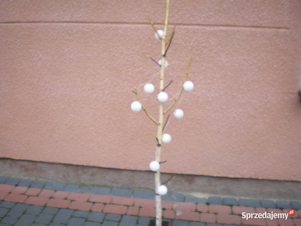 naturalny konar brzozy z kulami 10 led mazowieckie Siedlce