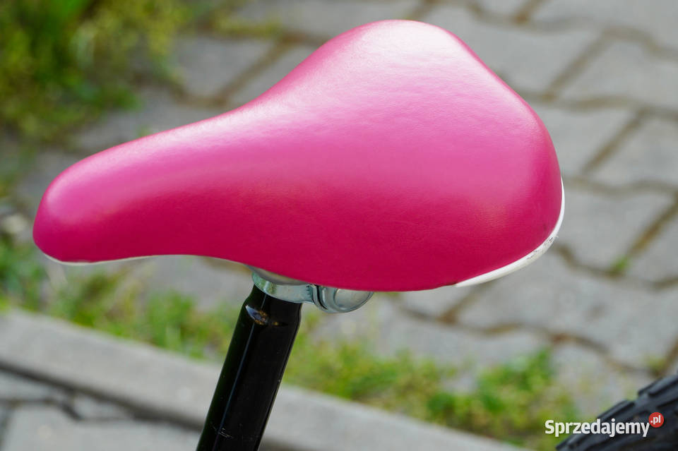 Rower dziecięcy BTwin 20 5 biegowy Super stan Gliwice sprzedam