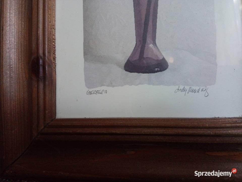 GERBERAobraz w drewnianej ramie 25x50 Zielona Łąka sprzedam