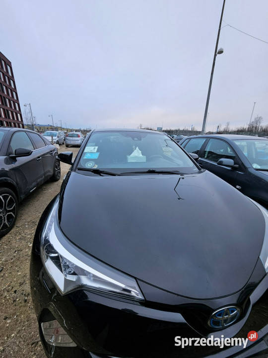 Toyota CHR Sadlno sprzedam