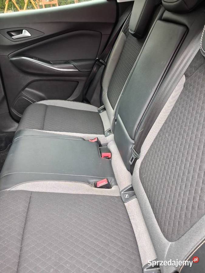 Sprzedam samochód Opel Grandland X Rok produkcji 2019 Długa Kościelna