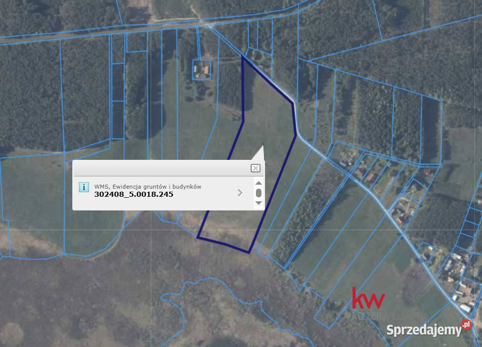Grunt sprzedam Rzecin 40002m2 Sprzedaż