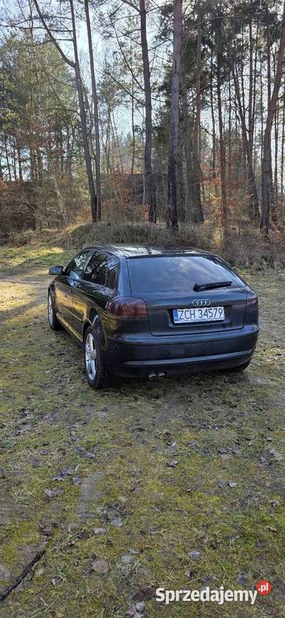 Audi A3 8P 19 Tdi BLS Choszczno sprzedam