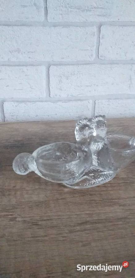 Przyprawnik koguciki prl łódzkie Przedbórz