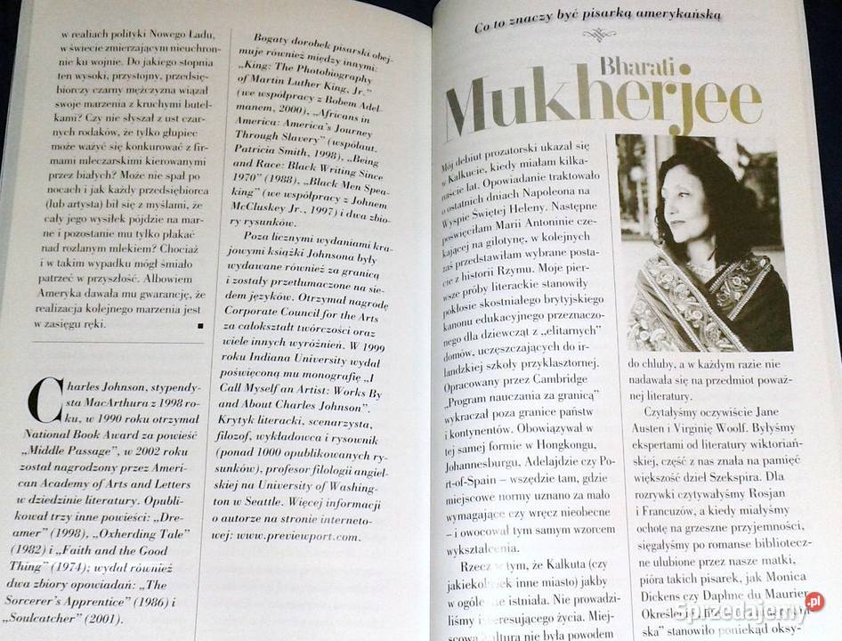 Pisarze o Ameryce 15 głosów ze słowem wstępnym lubelskie Chełm